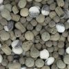 Kindly's Fjørden Mix 200g