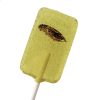 Snack-Insects Lolli Grille 20g