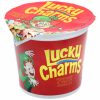 Lucky Charms 48g